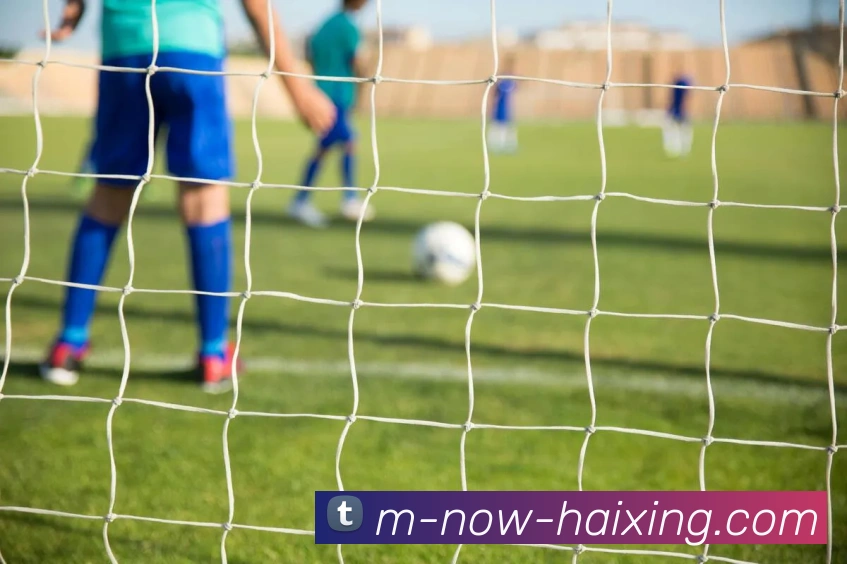 海星体育直播服务体系